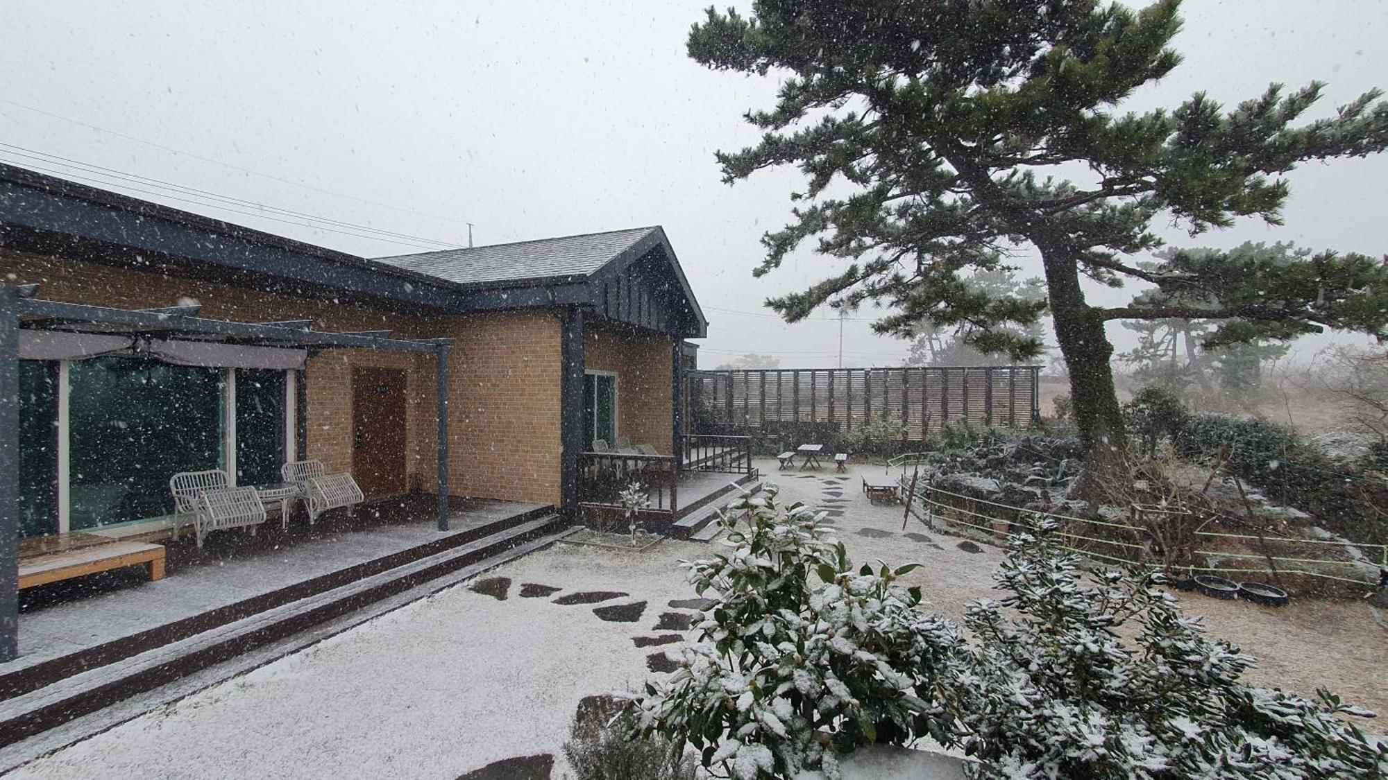 Wind Jeju Cafe & Pension Σεογκουίπο Εξωτερικό φωτογραφία