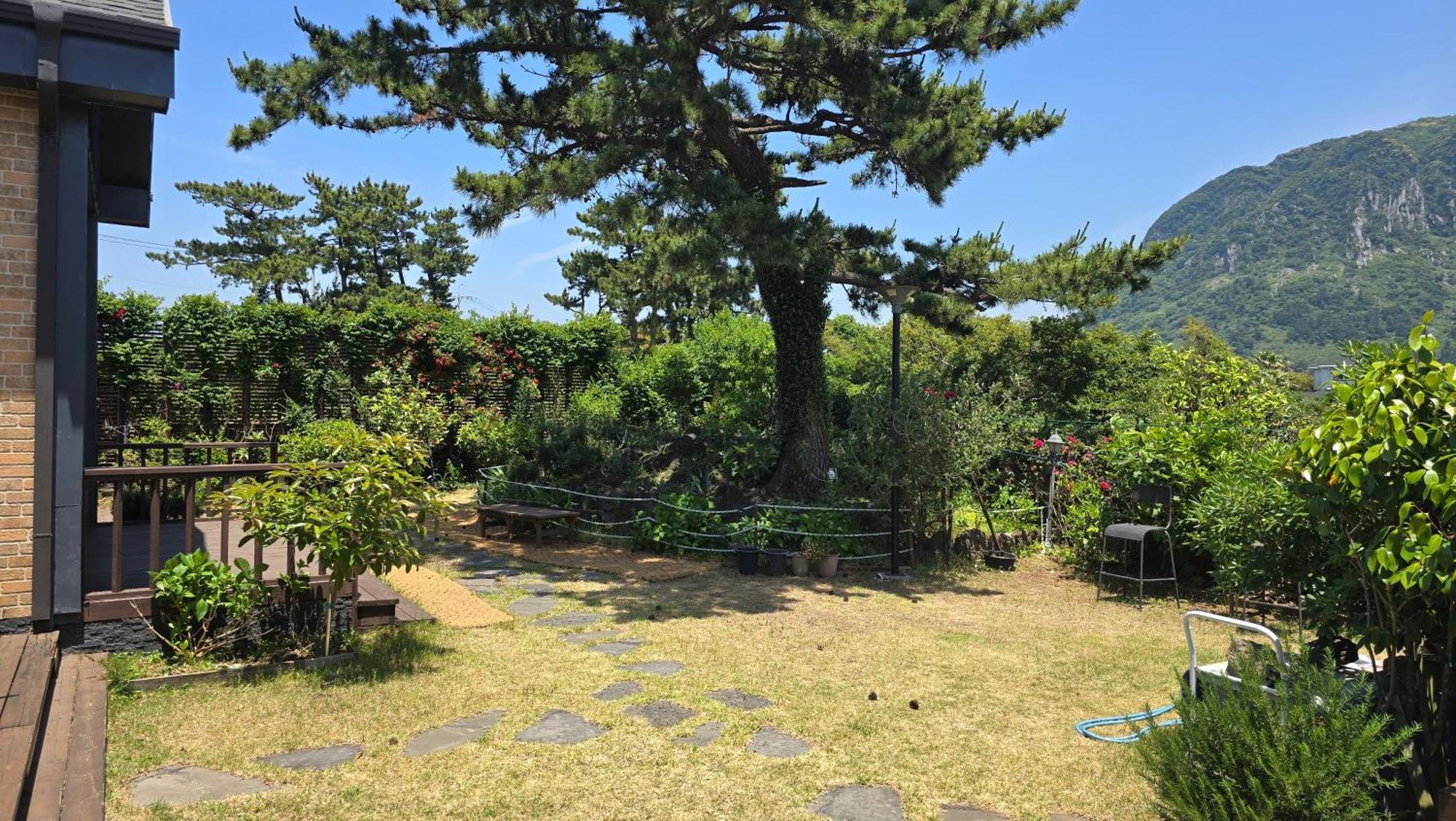 Wind Jeju Cafe & Pension Σεογκουίπο Εξωτερικό φωτογραφία