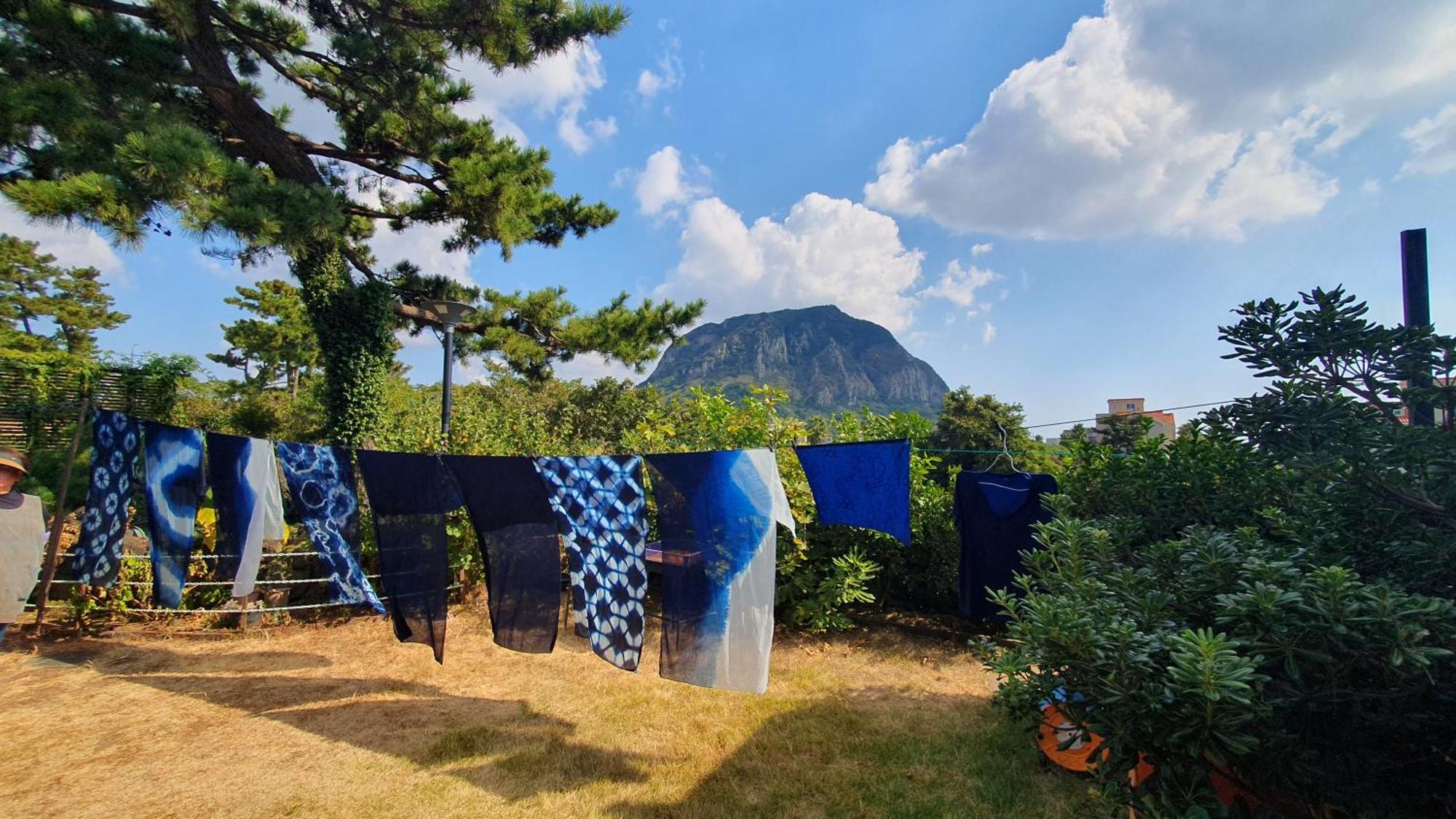 Wind Jeju Cafe & Pension Σεογκουίπο Εξωτερικό φωτογραφία