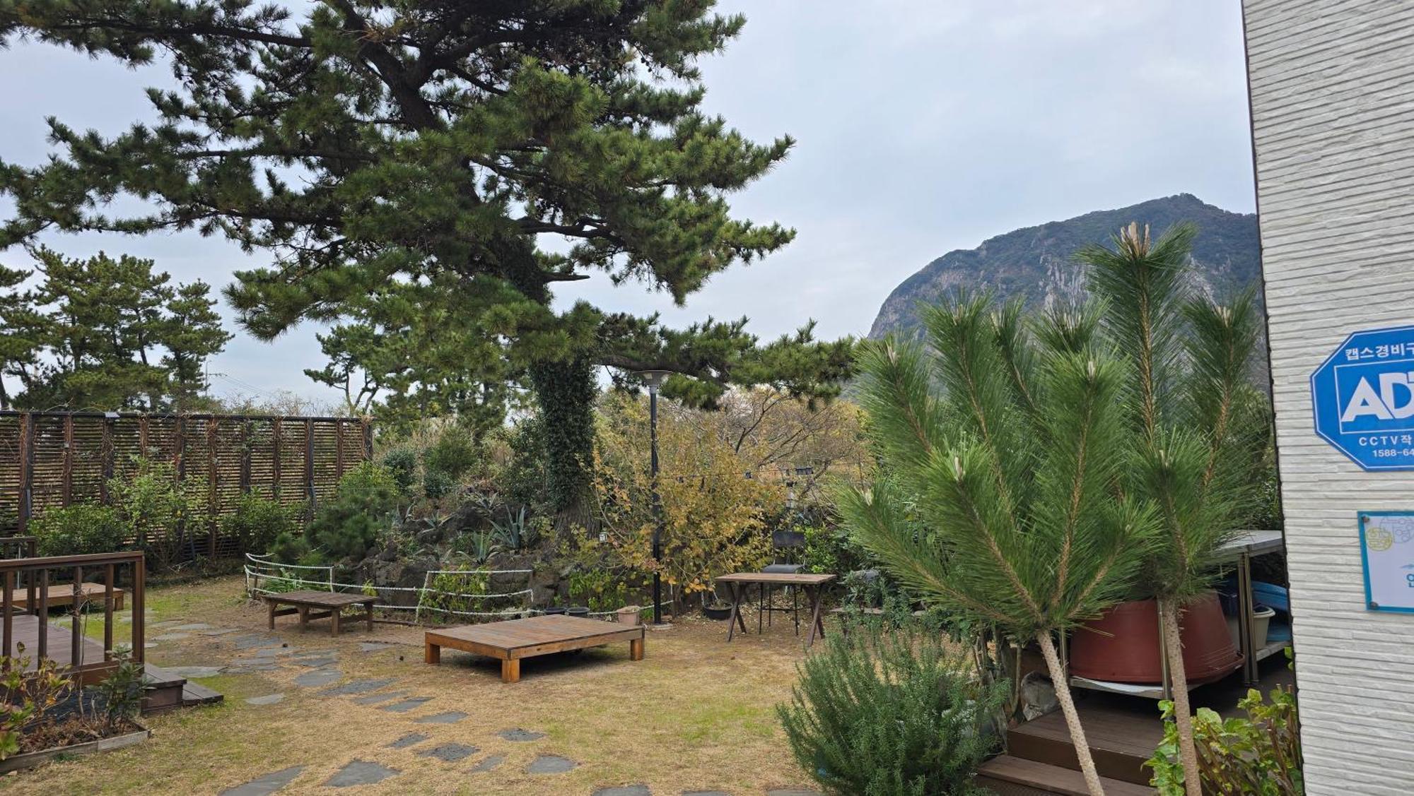 Wind Jeju Cafe & Pension Σεογκουίπο Εξωτερικό φωτογραφία