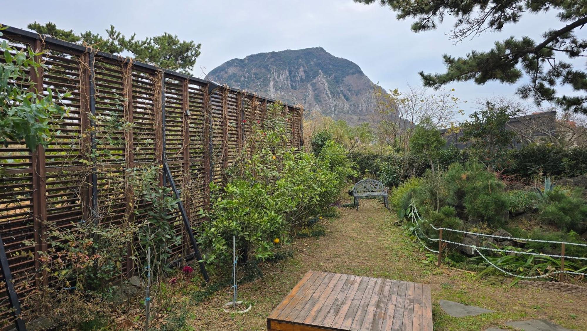 Wind Jeju Cafe & Pension Σεογκουίπο Εξωτερικό φωτογραφία