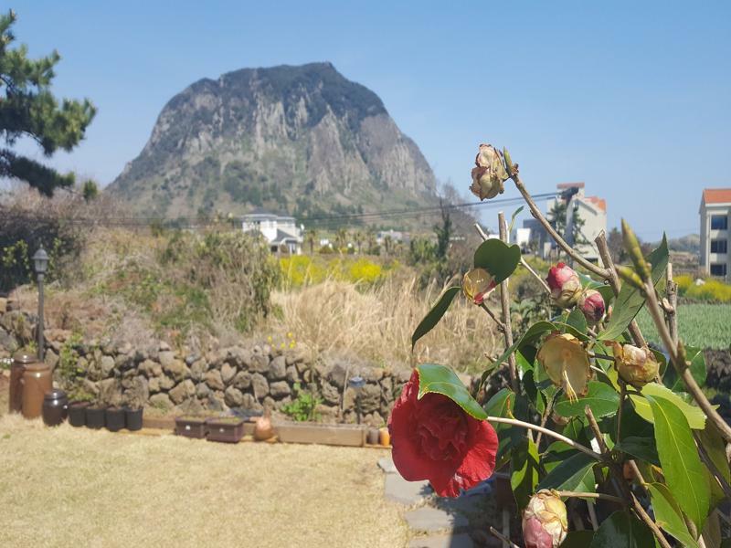Wind Jeju Cafe & Pension Σεογκουίπο Εξωτερικό φωτογραφία